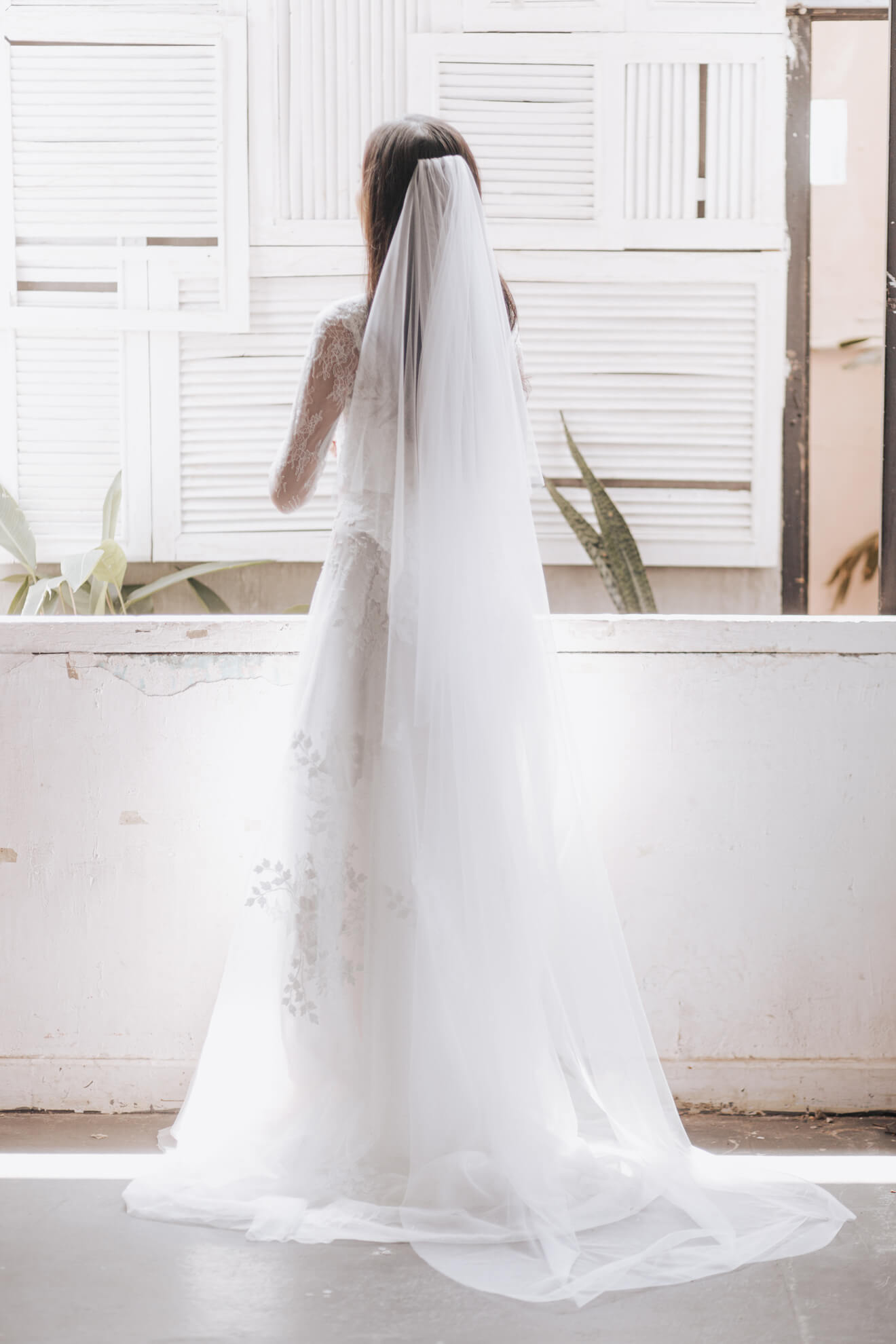 Person wearing a long white wedding veil in front of a white wall with plants.