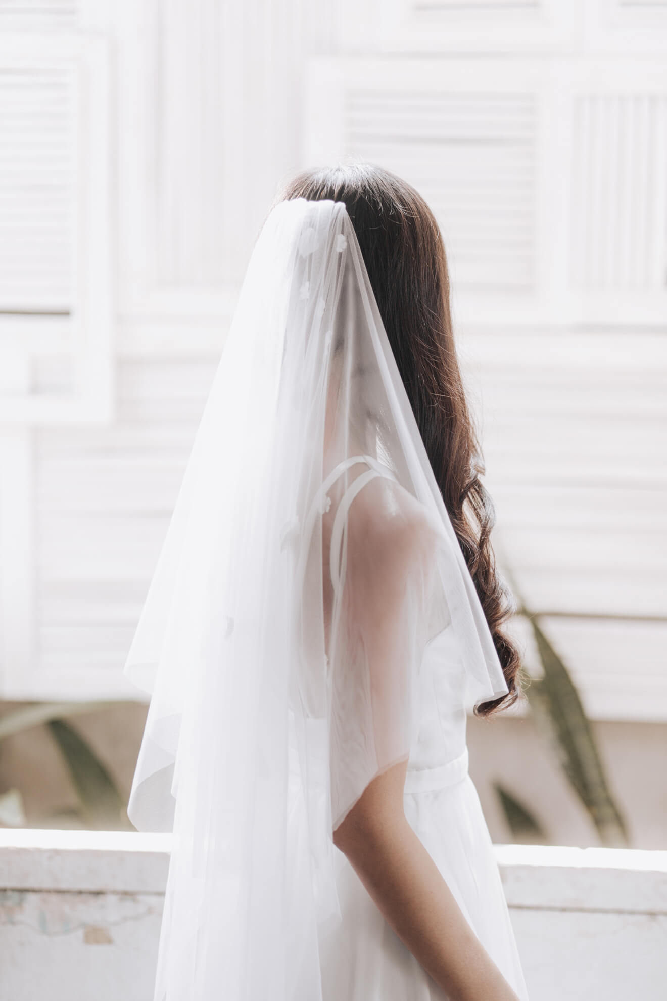 Person wearing a white wedding veil in front of a window with light filtering through.
