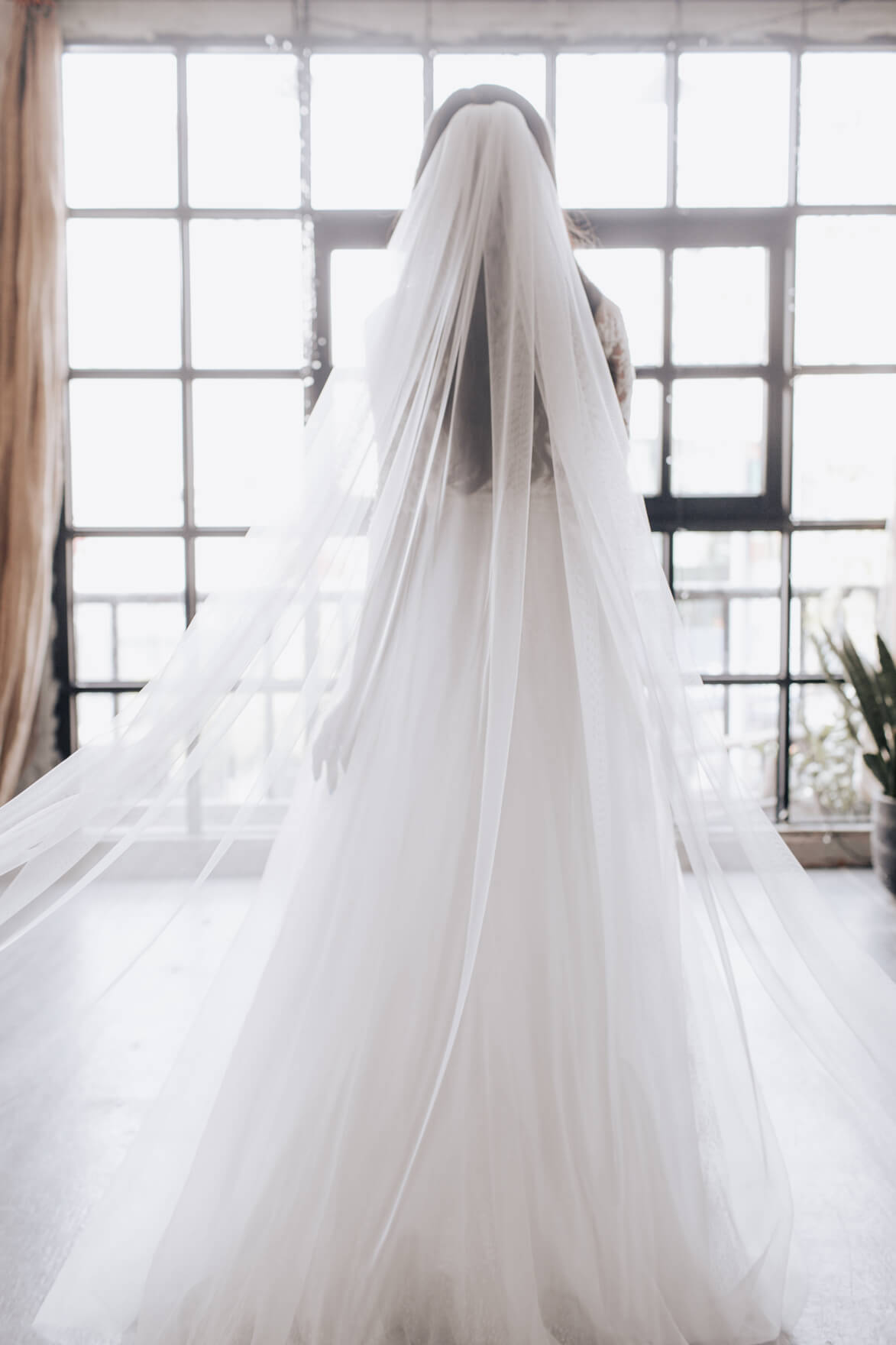 Person wearing a long white wedding veil in front of large windows.